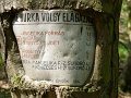 Angelika-forras es kornyeke - Velencei-hg-1